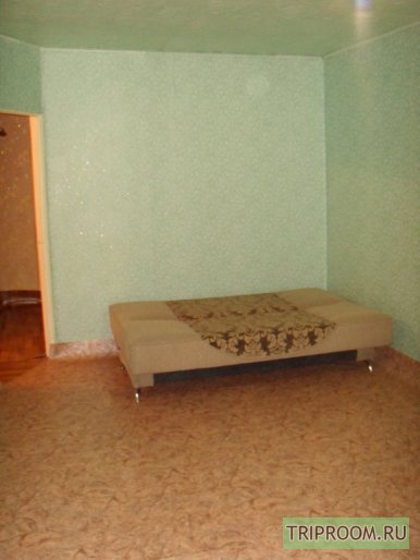 1-комнатная квартира посуточно (вариант № 49980), ул. Никитина улица, фото № 1
